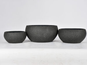 Renee Bowl