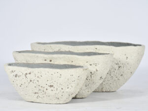 Dawne Bowl