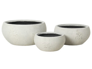 Aura Bowl