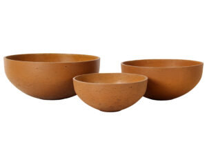 Bali Bowl