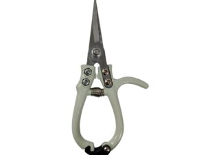 TFD Stainless Steel Garden Pruning Shears – Sage Green