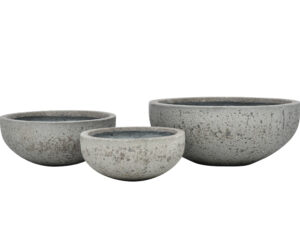 Ola Bowl
