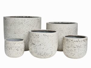 Raja Planter
