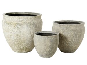 Lex Planter