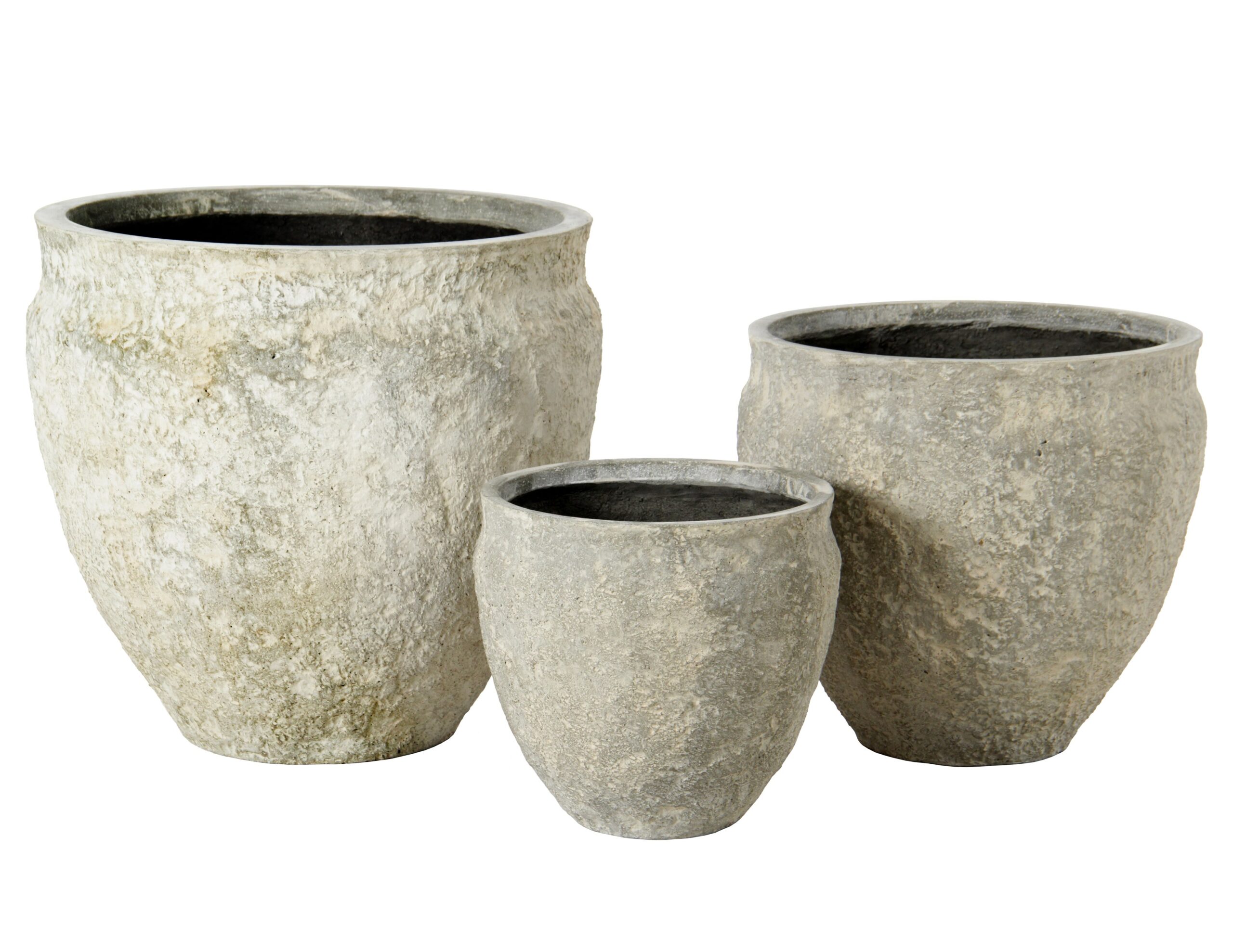 Lex Planter